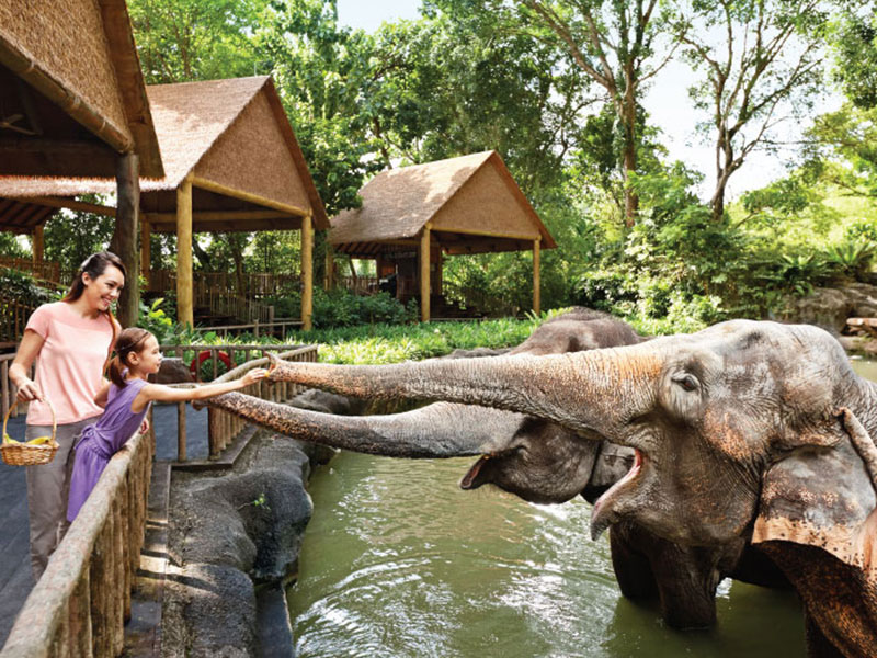 Singapore Zoo Free & Easy with 2-way transfer