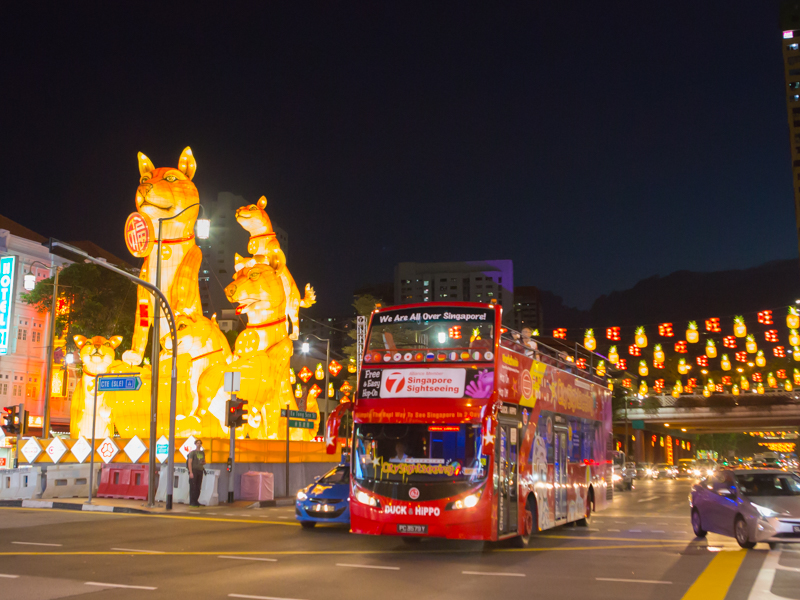 Chinese New Year Light-Up Tour